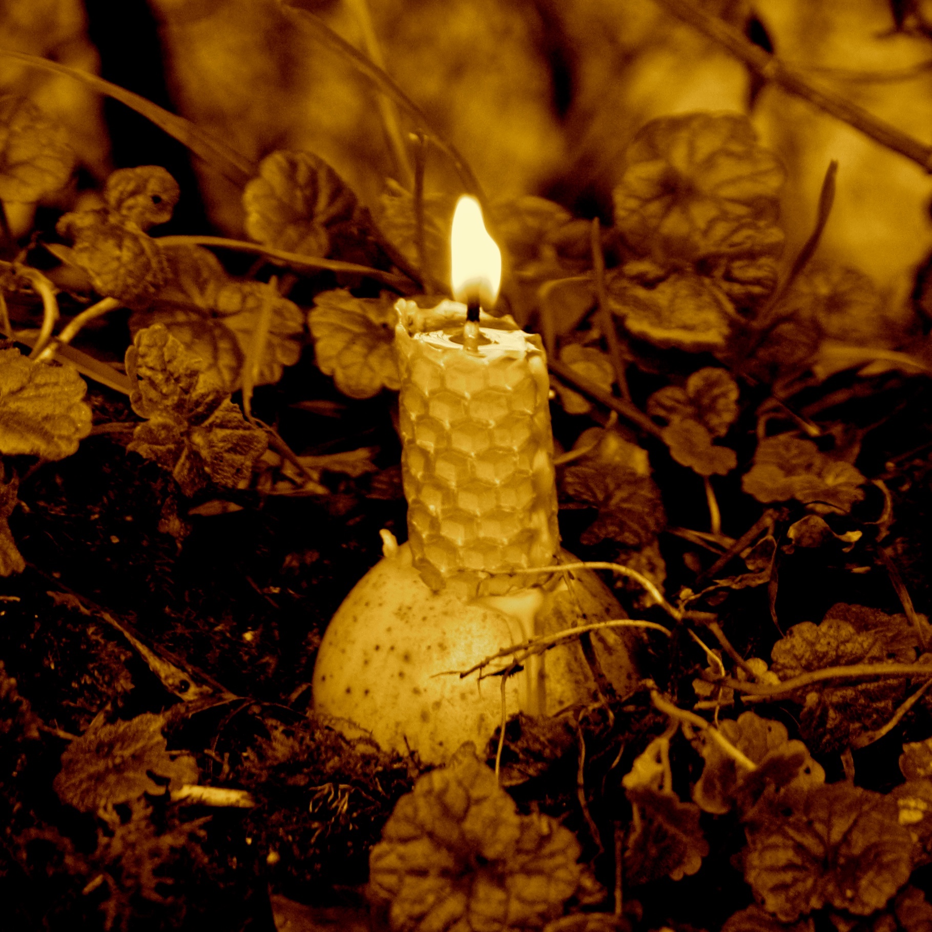 Candle - ecoshamanism